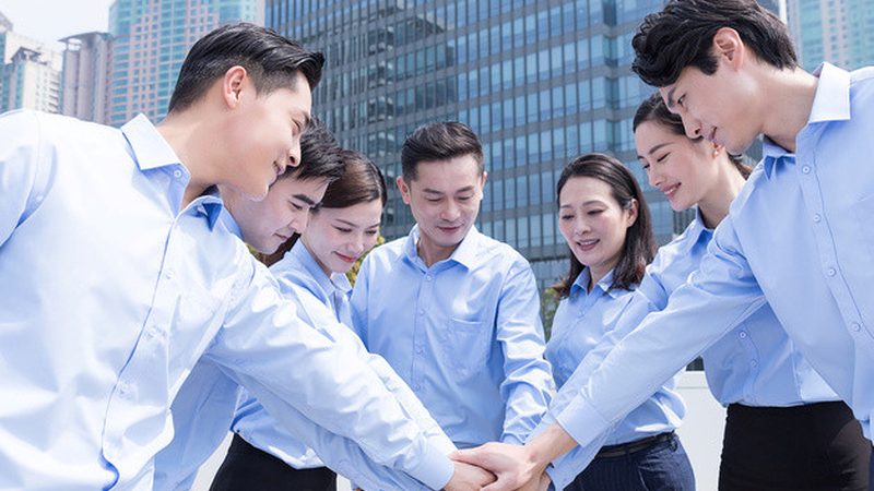 股权动态调整机制：企业治理的灵活与稳健**