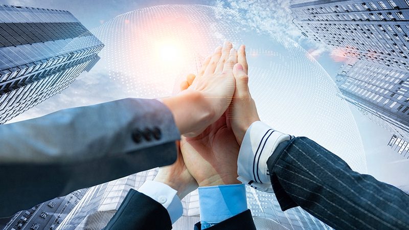 可行性研究报告：企业决策的精准导航