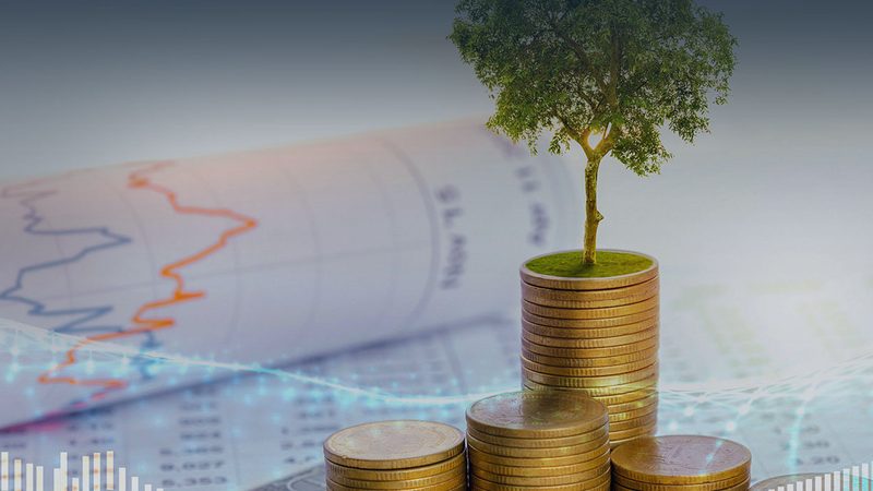 ISO认证咨询分类标准：最新版本解析与解读